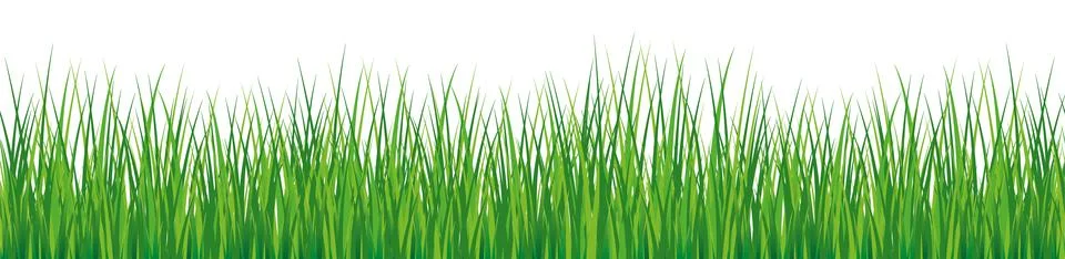 Border of green grass template Stock Illustration