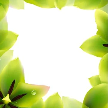 Border of green tulips Stock Illustration