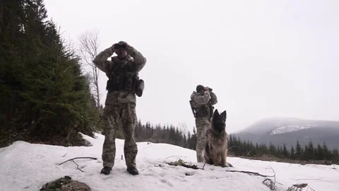 Border guards with a dog in the mountains Video stock 147944358