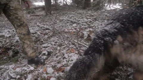 Border guards patrol the border in the mountains Video stock 147944504