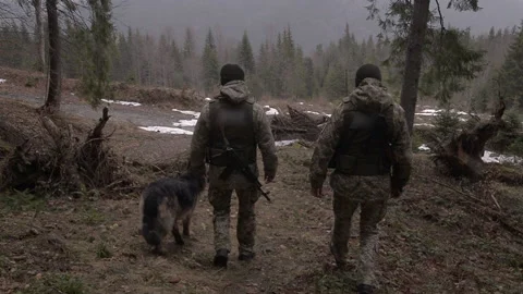 Border guards patrol the border in the mountains Video stock 147944522