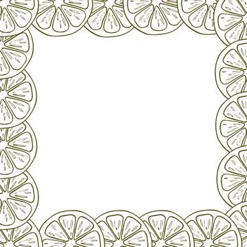 A border of lemon slices. A composition of citrus fruits in a graphic style.. Stock Illustration