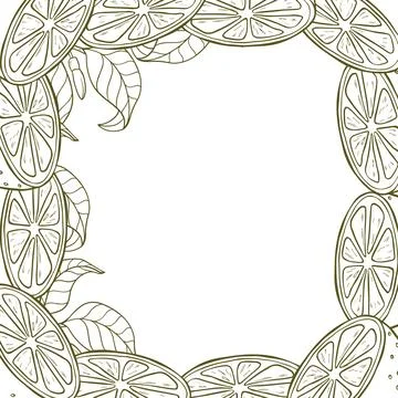 A border of lemon twigs and lemon slices. A composition of citrus fruits in.. Stock Illustration