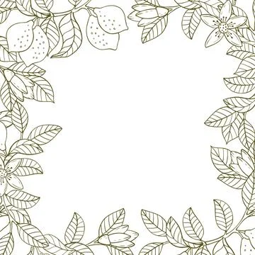 A border of lemon twigs and lemons. A composition of citrus fruits in a gra.. Stock Illustration