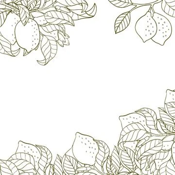 A border of lemon twigs and lemons. A composition of citrus fruits in a gra.. Stock Illustration