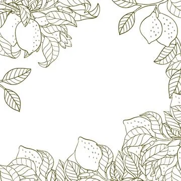 A border of lemon twigs and lemons. A composition of citrus fruits in a gra.. Stock Illustration
