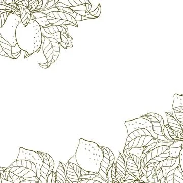 A border of lemon twigs and lemons. A composition of citrus fruits in a gra.. Stock Illustration