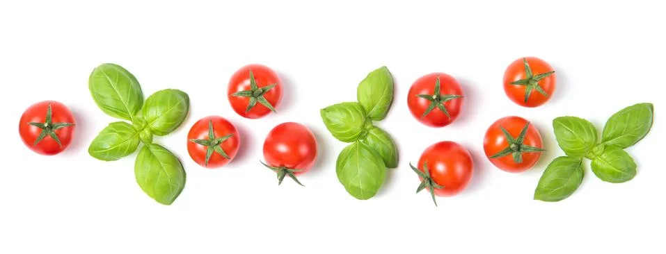 Border made of cherry tomatoes with basil leaves, isolated on white background Stock Photos