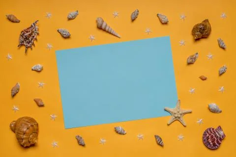 Border made of decorative seashells and sea stars on pastel blue and bright y Stock Photos