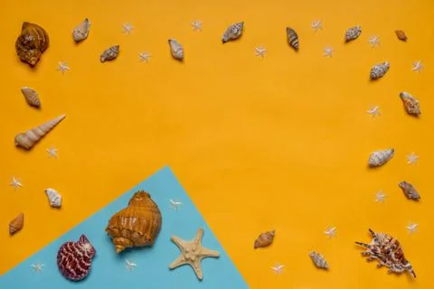 Border made of decorative seashells and sea stars on pastel blue and bright y Stock Photos