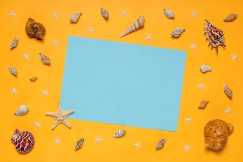 Border made of decorative seashells and sea stars on pastel blue and bright y Stock Photos