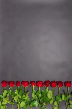 Border made of fresh red rose flowers on black background. Floral composition Foto stock