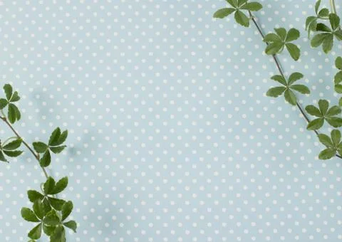Border made of vines Stock Photos