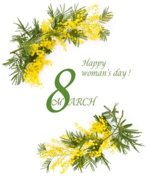 Border of mimosa flowers. Stock Photos