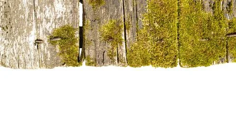 Border or framing from old boards with damage and moss on white isolated Stock Photos