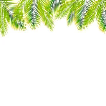 Border of palms branches on isolated on white background. Realistic tree palm Stock Illustration