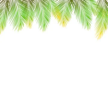Border of palms branches on isolated on white background. Realistic tree palms Stock Illustration