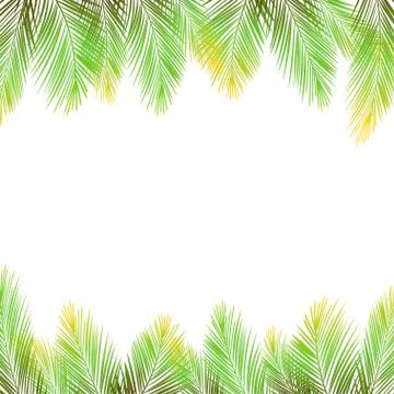 Border of palms branches on isolated on white background. Realistic tree palms Illustrazione stock