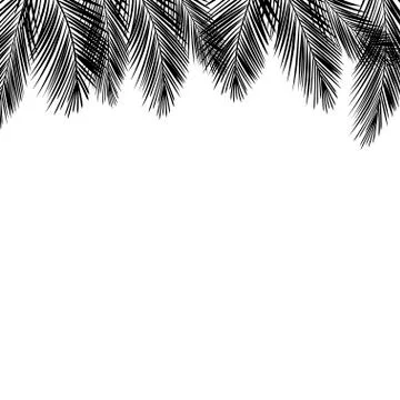 Border of palms branches on isolated on white background. Realistic tree palms Stock Illustration