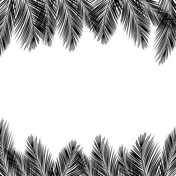 Border of palms branches on isolated on white background. Realistic tree palms Stock Illustration