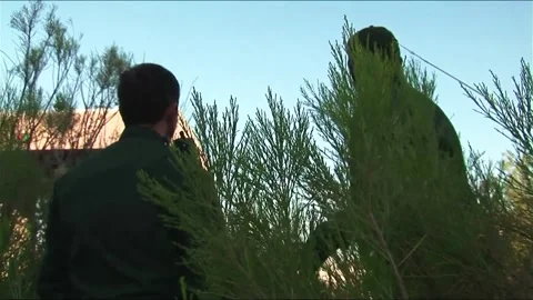 Border Patrol Agents on Hunt 스톡 동영상 209995137