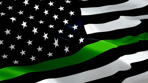 Border Patrol Agents responder Flag Wave Loop waving in wind. Anley Fly Green Stock Footage 106051995
