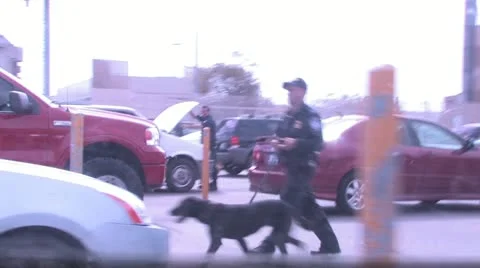 Border Patrol with the K9 narcotics dog Stock Footage 12390192