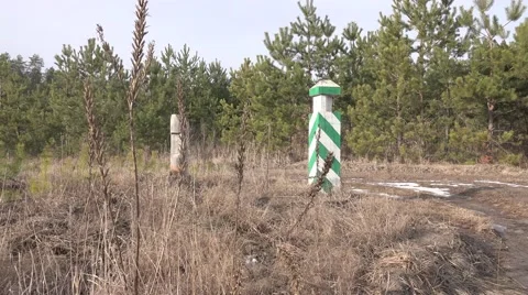Border post on the edge of a forest plot shows the number of Stock Footage 47714600