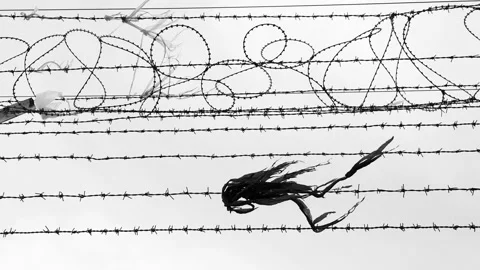 Border razorwire 스톡 동영상 180705825