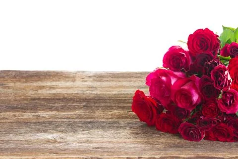 Border of red roses 스톡 사진