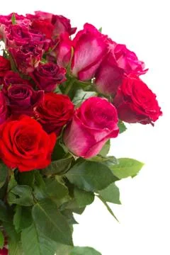 Border of red roses 스톡 사진