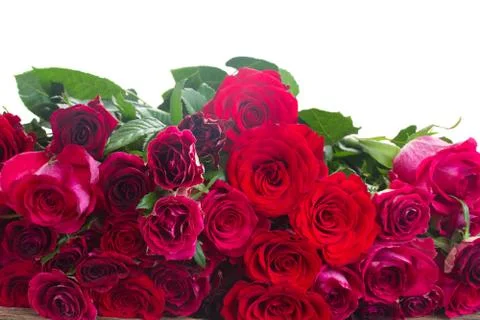Border of red roses 스톡 사진