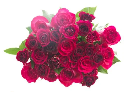 Border of red roses 스톡 사진