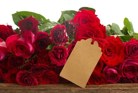 Border of red roses 스톡 사진