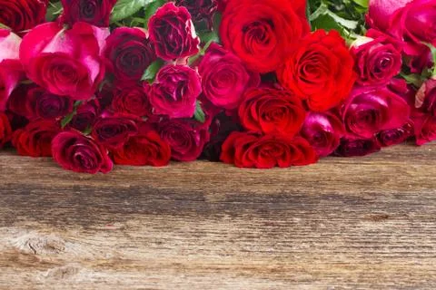 Border of red roses 스톡 사진