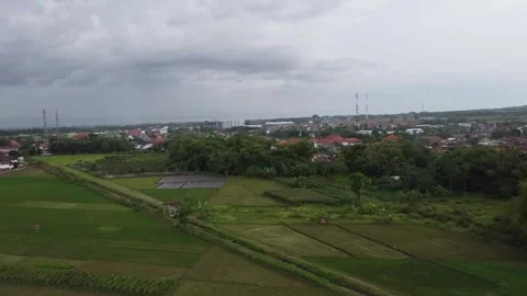 Border of rice fields and settlements in a village from an aerial view Stock Footage 278961946