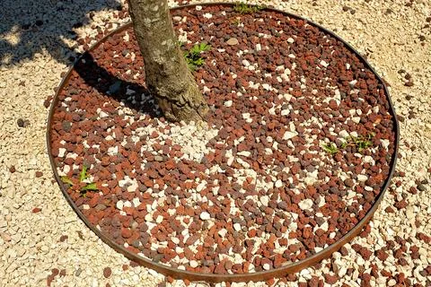 Border Ring With Red Volcanic Lava Mulch And White Gravel In Garden Landsca.. Stock Photos