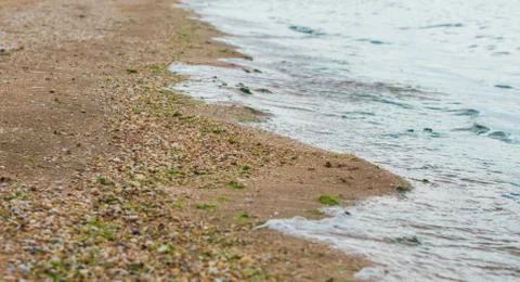 The border of the sea and the shell beach. 스톡 사진