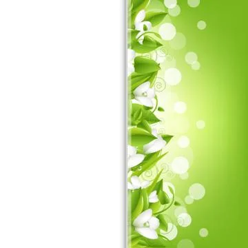 Border with snowdrops and leaf Stock Illustration