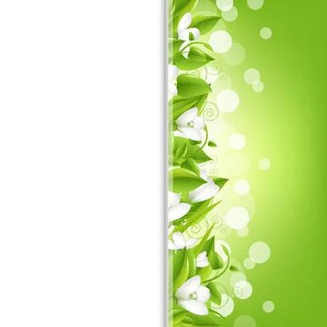 Border With Snowdrops And Leaf Stock Illustration