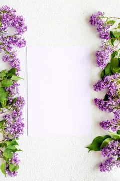 Border of spring lilac flowers. Flat lay, top view Stock Photos