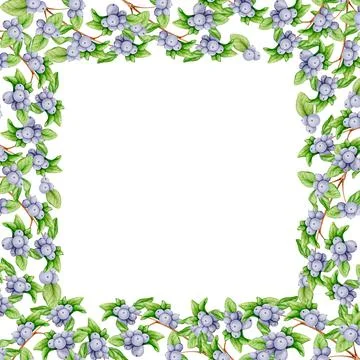 Border, square frame of branches with black berries. Watercolor illustration Stock Illustration