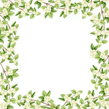 Border, square frame of branches with white berries. Watercolor illustration Stock Illustration
