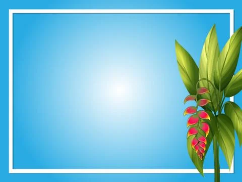 Border template with bird of paradise Stockillustratie