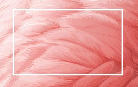 Border template with pink feather Stock Illustration