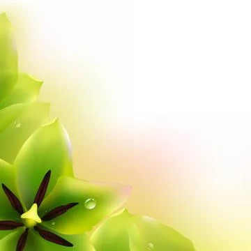 Border of tulips Stock Illustration