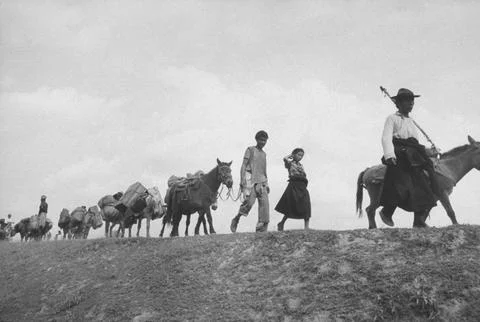 Border War, India Stock-Fotos