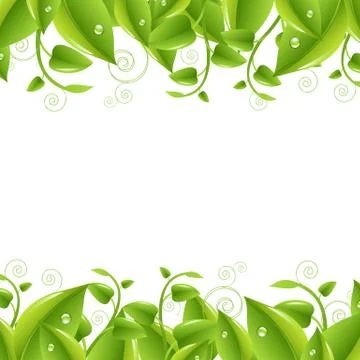 Borders with leaves Stock Illustration