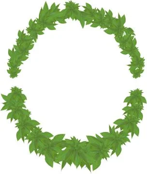 Borders from leaves Illustrazione stock