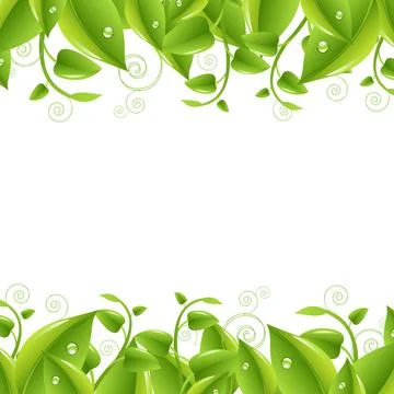 Borders With Leaves Stock Illustration